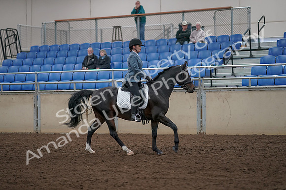 2019 Morgan Horse Show - Aug 31, 2019 - 07501
