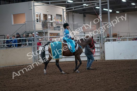 2019 Morgan Horse Show - Aug 31, 2019 - 10036