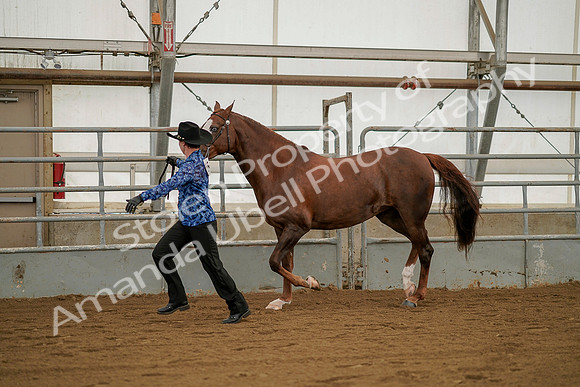 July 19, 2019 - 1286