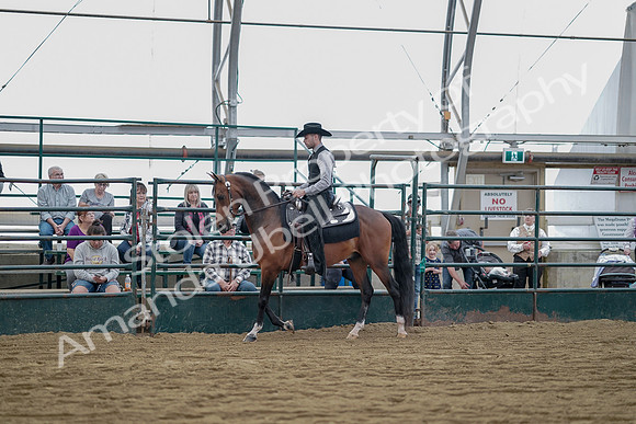 July 21, 2019 - 06546