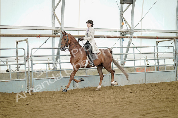 July 20, 2019 - 07837