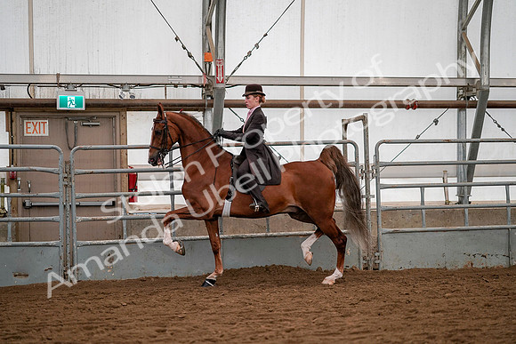 July 19, 2019 - 10347
