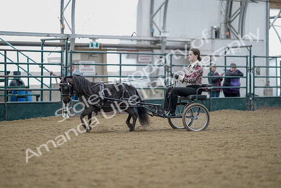 July 21, 2019 - 06646