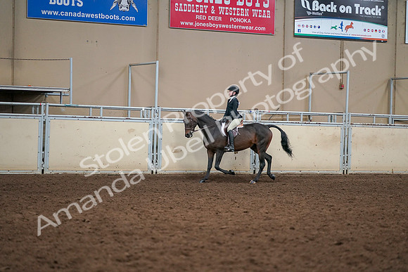 2019 Morgan Horse Show - Aug 30, 2019 - 12202