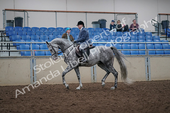 2019 Morgan Horse Show - Aug 31, 2019 - 14765