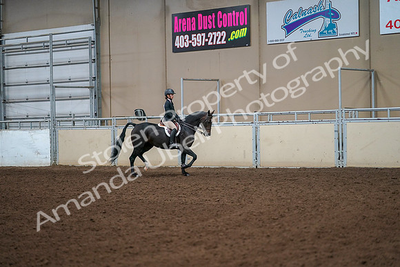 2019 Morgan Horse Show - Aug 30, 2019 - 12336