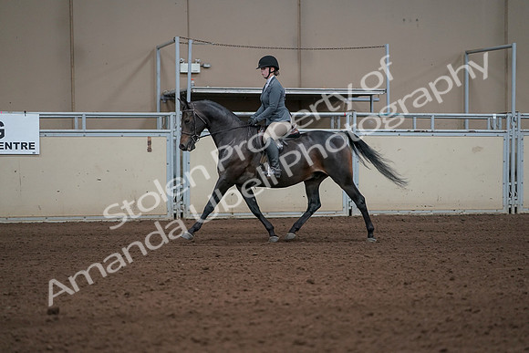 2019 Morgan Horse Show - Sept 01, 2019 - 10917_1