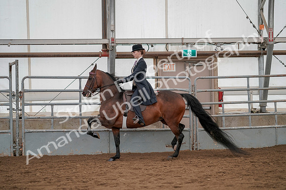 July 20, 2019 - 04382