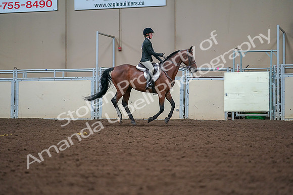 2019 Morgan Horse Show - Aug 30, 2019 - 21034
