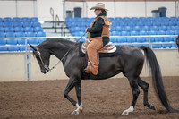 2019 Morgan Horse Show - Aug 31, 2019 - 06027
