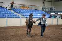 2020 - AB Morgan Horse - Sat, Sept 05 - 00244