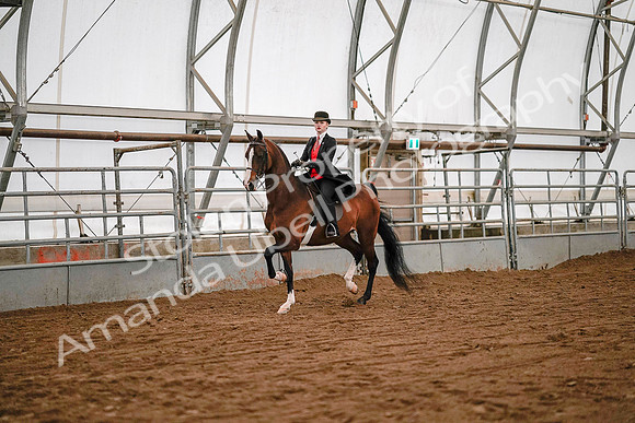 July 19, 2019 - 8693