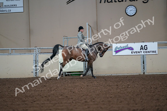 2019 Morgan Horse Show - Aug 30, 2019 - 17524
