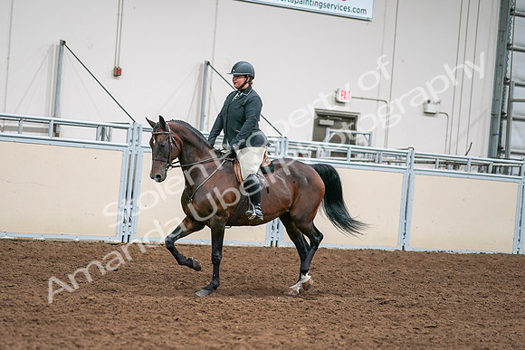 2020 - AB Morgan Horse - Sat, Sept 05 - 09324