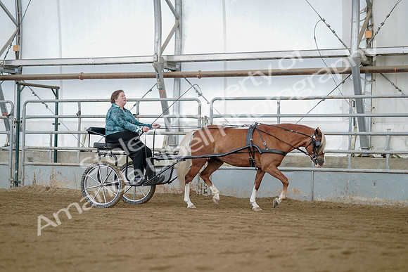 July 21, 2019 - 05996