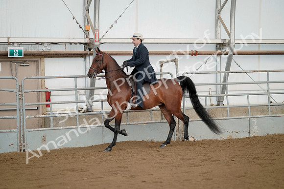 July 21, 2019 - 01661