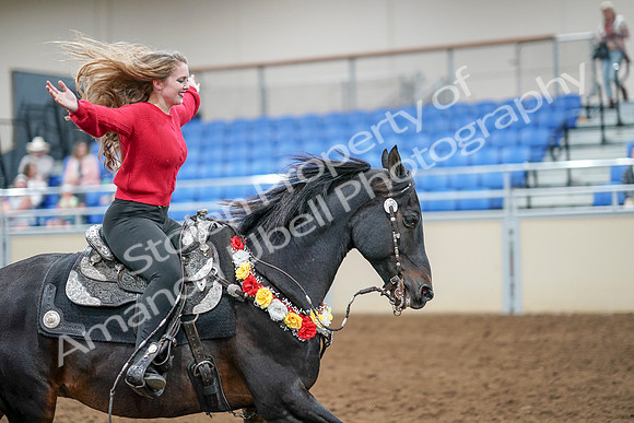 2020 - AB Morgan Horse - Sat, Sept 05 - 10563
