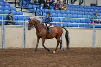 2020 - AB Morgan Horse - Sat, Sept 05 - 01748