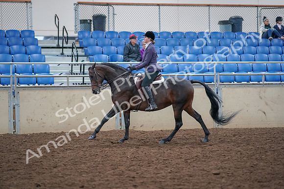 2019 Morgan Horse Show - Aug 30, 2019 - 20587