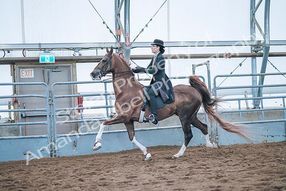 July 20, 2019 - 24046