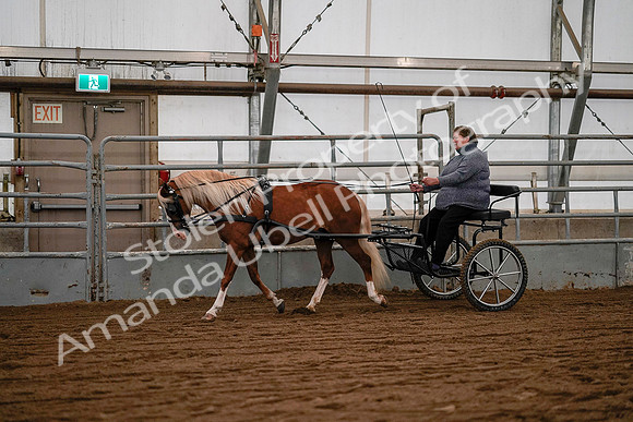 July 19, 2019 - 7059