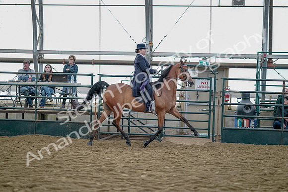 July 20, 2019 - 13951