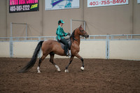 2019 Morgan Horse Show - Aug 30, 2019 - 30633