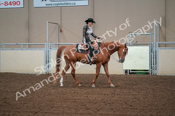 2019 Morgan Horse Show - Aug 30, 2019 - 17017