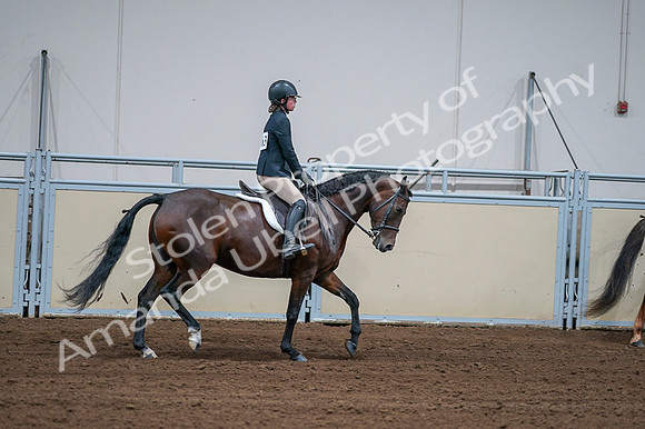 2020 - AB Morgan Horse - Fri, Sept 04 - 01821