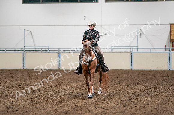 2020 - AB Morgan Horse - Fri, Sept 04 - 08505