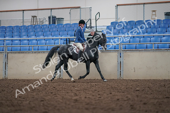 2019 Morgan Horse Show - Aug 31, 2019 - 16702