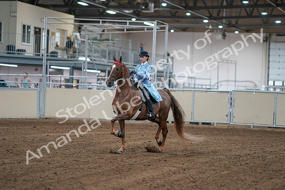 2020 - AB Morgan Horse - Sat, Sept 05 - 06110