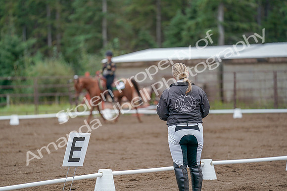 2019 Morgan Horse Show - Aug 30, 2019 - 00225