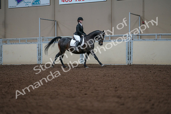 2019 Morgan Horse Show - Aug 30, 2019 - 18624