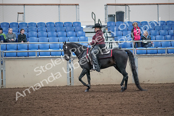 2019 Morgan Horse Show - Aug 31, 2019 - 10566