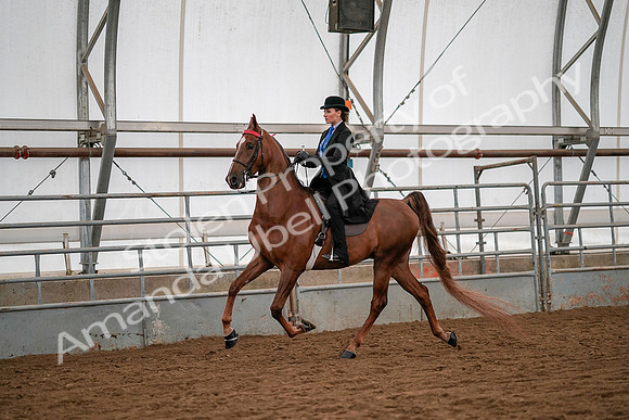 July 19, 2019 - 10590