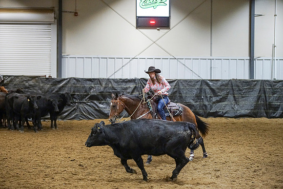 DSC00203