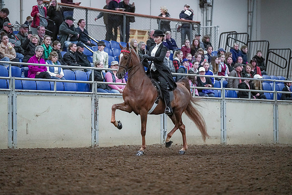 Spring Fling - Saturday - April 20, 2019  -  00457