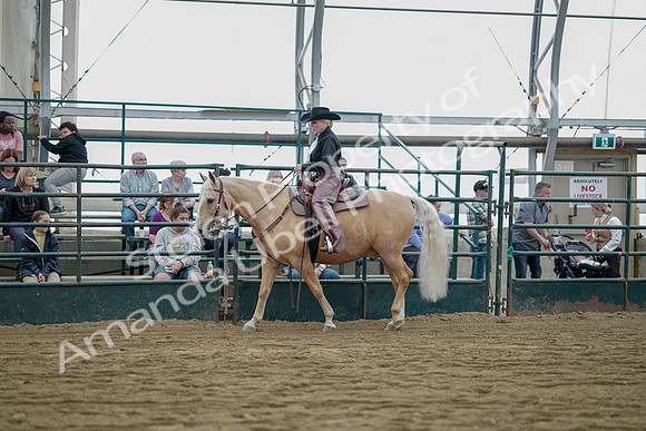 July 21, 2019 - 06540