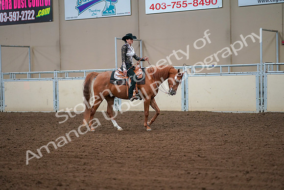 2019 Morgan Horse Show - Aug 30, 2019 - 16923