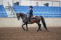 2019 Morgan Horse Show - Sept 01, 2019 - 11208