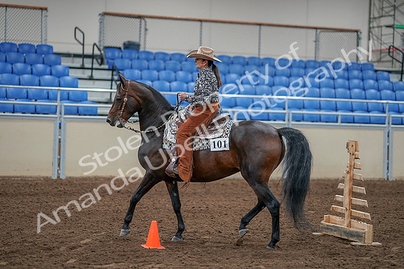 2020 - AB Morgan Horse - Fri, Sept 04 - 00083