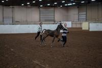 2019 Morgan Horse Show - Aug 31, 2019 - 00187
