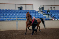 2019 Morgan Horse Show - Aug 31, 2019 - 00548
