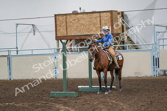 2020 - AB Morgan Horse - Fri, Sept 04 - 00127