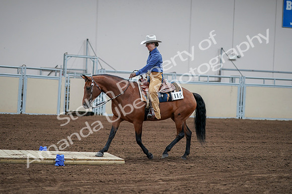 2020 - AB Morgan Horse - Fri, Sept 04 - 00163