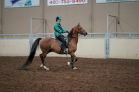 2019 Morgan Horse Show - Aug 30, 2019 - 30642