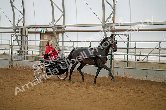 July 20, 2019 - 00182