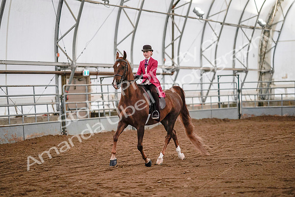 July 19, 2019 - 8812