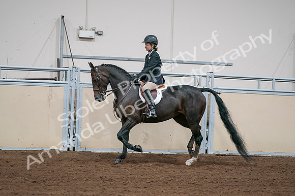 2020 - AB Morgan Horse - Fri, Sept 04 - 02030